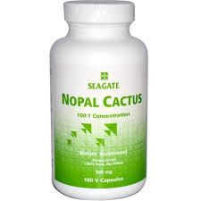 Nopal is a cactus grown in mexico, southwestern regions of the united states, the mediterranean, and parts of south america. Seagate Nopal Prickly Pear Cactus