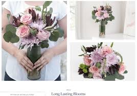Specializing in weddings, events, personal arrangements and more. How Urbanstems Uses Customer Experience To Compete With Big Ecommerce Econsultancy