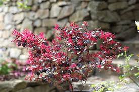 This design with stones, ornaments, and a statue focuses on the aesthetics and can be an inspired choice for small backyards and other tiny spaces. Royalty Free Secret Garden Photos Free Download Pxfuel