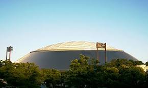 Metlife Dome Wikipedia