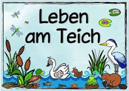 Themenplakat Leben Am Teich Unterrichtsthemen Grundschule Plakat