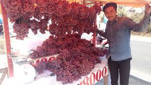 Download now cpt 20 anggur 85x100cm tanpa pigura. Pedagang Cirebon Serbu Garut Jajakan Anggur Impor Cina Regional Liputan6 Com