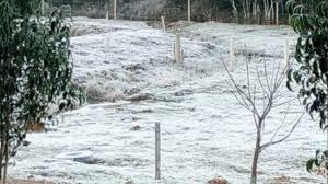 Check spelling or type a new query. Frio Congelante No Parana Metsul Meteorologia