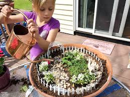 Look for unusual rocks, acorns, and other nuts; How To Build A Fairy Garden With Kids Finding Zest