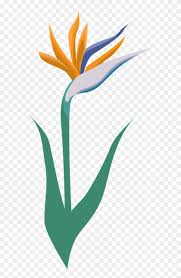 With this flower you say 'thank you' to. Garden Flower Icon Symbol Blossom Logo Thank You Wedding Party Card Free Transparent Png Clipart Images Download