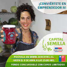 Debe tener entre 5 y 8 caracteres, y contener letras y números. Sercotec Abre Capital Semilla Para La Creacion Y Formalizacion De Microempresas