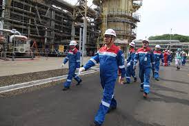We did not find results for: Direktur Megaproyek Pengolahan Dan Petrokimia Management Walkthrough Ke Proyek Langit Biru Cilacap Pertamina