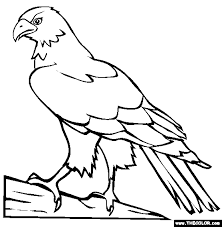 Search through 623,989 free printable colorings at. Perched Hawk Coloring Page Free Perched Hawk Online Coloring