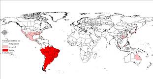 Red Imported Fire Ant Biosecurity Nz Government Every ant has a job to do.