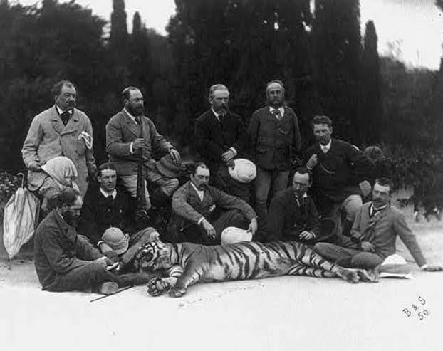Hunting the Tiger: The Symbolic Quest of Imperial Powers | Impart