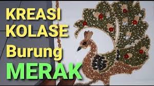 Konon, merak putih ini merupakan hasil dari persilangan para penyayang binatang di negeri india. 35 Gambar Burung Merak Untuk Kolase Terbaik Top Gambar Kolase