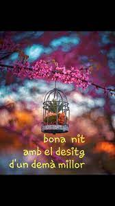 Bona Nit Saludos De Buenas Noches Cartelitos De Buenas Noches Buenas Noches En Catalan