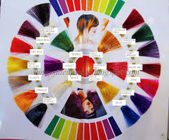 Pravana Hair Color Mixing Chart Sbiroregon Org