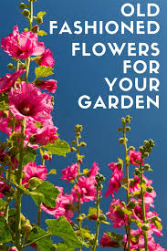 Check spelling or type a new query. Old Fashioned Flowers For Your Garden House Of Hawthornes