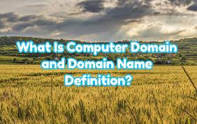 What Is Computer Domain And Domain Name Definition Poftut