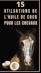 Epingle Sur Conseils Et Astuces Chevaux