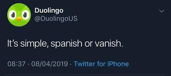 Duolingo bird meme random meme compilation 17. 25 Duolingo Owl Memes That Threaten To Murder Your Family Creepy Gallery