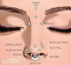 Encyclopedia Of Body Piercings Standard Nostril Nose Piercing Face Piercings Earings Piercings Ear Peircings