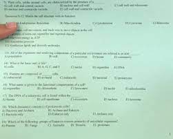 These organelles carry out specific plant cells tend to have more uniform sizes than animal cells. 7 Plant Cells Unlike Animal Cells Are Chegg Com