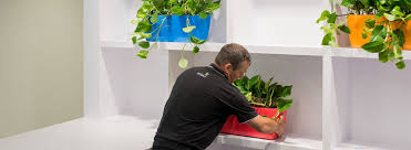 Commercial Planters Plant Containers Plant Pots Ambius Ireland