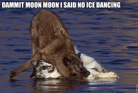 Olympic Moon Moon Moon Moon Know Your Meme