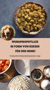 Wurmprophylaxe In Form Von Keksen Hunde Ernahrung Hunde Kekse Rezept Hunde Kuchen