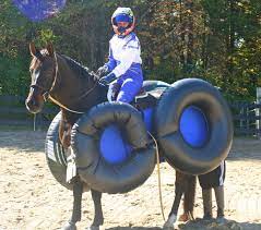 We did not find results for: Amazing Horse And Rider Costumes Original Mane N Tail Animal Care