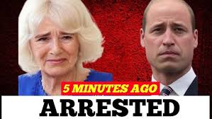 ANGER⚡ William Fights Back At Camilla William Rejects Camila decision To  Divide The throne with Son