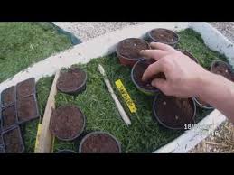 Construire Une Serre En Bois De Jardin Plans Youtube Construire Une Serre Serre Serre En Bois