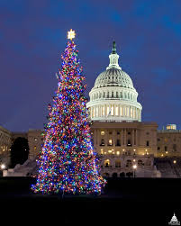 Fox news' maria bartiromo faces backlash for 'so. Capitol Christmas Tree Wikipedia