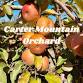 Apple picking at Carter Mountain  — Sweet Jane's event image
