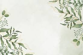 We did not find results for: Free Vector Cute Watercolor Leaves Frame With Watercolor Background