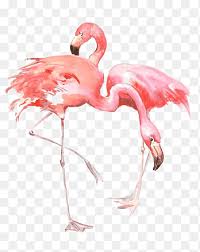 Op verzoek van crea met kids enkele tekeningen gemaakt die bruikbaar zijn voor verschillende knutsels. Rode Flamingo Png Pngegg