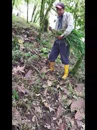 Profile for Efrén Cobos