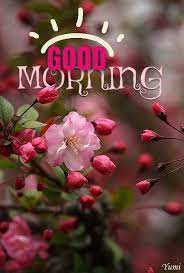 Good Morning Greetings | Good morning flowers quotes, Good morning greetings, Good morning quotes