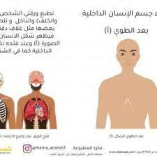 نشاط مطبوع عملي اجزاء الجسم الداخلية مطبوعات علمية للصغار شمسات omar fictional characters thats not my