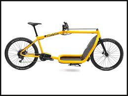 LARRY HARRY BULLIT super RAW CargoBike in