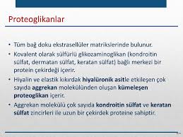 En yaygın kireçlenme şekli olan osteoartritte hızlı ilerleyen bir kıkırdak glikozaminoglikan dejenerasyonu vardır. Ppt Kemik Biyokimyasi Powerpoint Presentation Free Download Id 5090530