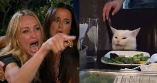 How to write your feelings for the day? Best Memes Of 2019 Most Popular Viral Memes Of The Year Thrillist