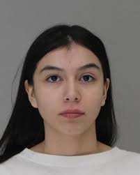 Dallas County Online Jail Search