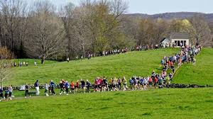 OLA! FOODS REDDING ROAD RACE FINISHER'S MAGAZINE 06/04/14