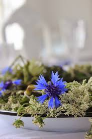 Epingle Par Cm Kornblume Blumen Kornblumenblau