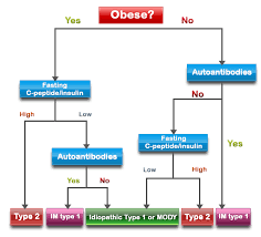 which type of diabetes do i have genetic more commo