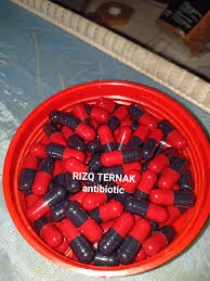 Ubat pecah darah berikut ini beberapa tips darah dan informasinya, yang membahas mengenai ubat pecah tersebut dengan berbagai kumpulan tips artikel lain, yang berhubungan dengan darah. Ubat Ayam Antibiotic Doping Cacing Pil Majun Belut Jamu Ayam Dlm Training Uca Injection Ubt Ayam Selsema Seduan Pecah Darah Vitamin Serbuk