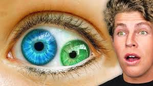 Fortnite Summitseeker Evie Skin GAMEPLAY! ❄ (Winter Evie Outfit)