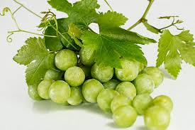 Nu se poate ca o mama care alapteaza sa consume doar fructe si legume preparate termic pentru ca astfel sunt distruse vitaminele necesare. Fructe È™i Fructe De PÄƒdure In Timpul AlÄƒptÄƒrii Competent Despre SÄƒnÄƒtate Pe Ilive