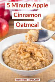 Easy Apple Cinnamon Oatmeal Recipe Stove Top Recipe Easy Oatmeal Recipes Quick Oat Recipes Hot Oatmeal Recipe