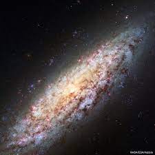 Right Now Chandra Is Gazing At A Group Of Galaxies In Draco Nearby In The Sky Swirls This Dwarf Spiral Galaxy Ngc 6503 Located On The