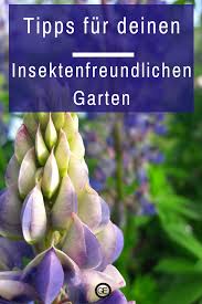 Insektenfreundlicher Garten Bunt Wild Schon Garteneuphorie Bienenfreundlicher Garten Pflanzen Hortensienpflanze