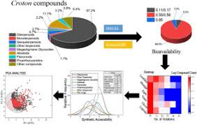 Image result for Croton polytrichus
